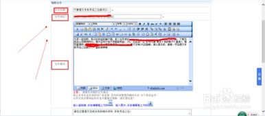 广告发布的完整流程与策略指南